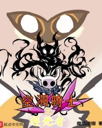 空洞騎士之逐光者